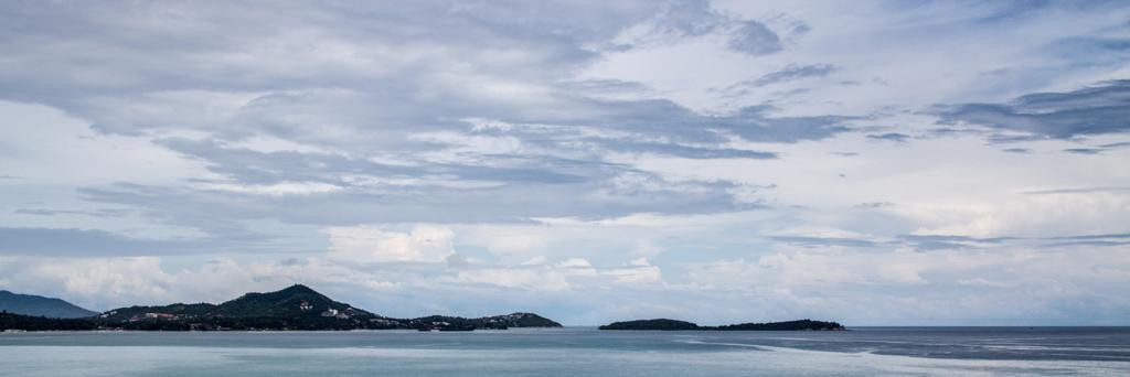 Nick Sawinyh sawinyh StartupBase